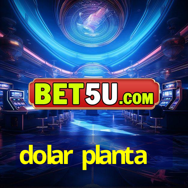 dolar planta